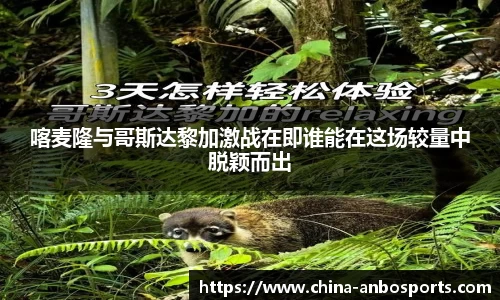 喀麦隆与哥斯达黎加激战在即谁能在这场较量中脱颖而出